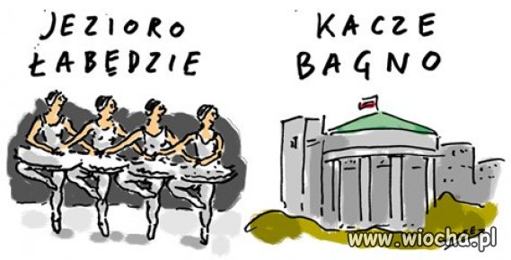 Niby podobnie