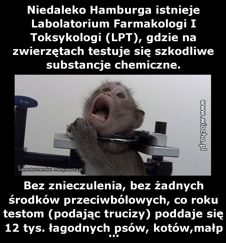 Niedaleko Hamburga istnieje Labolatorium