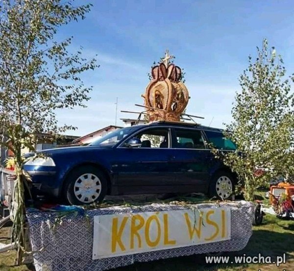 Król wsi