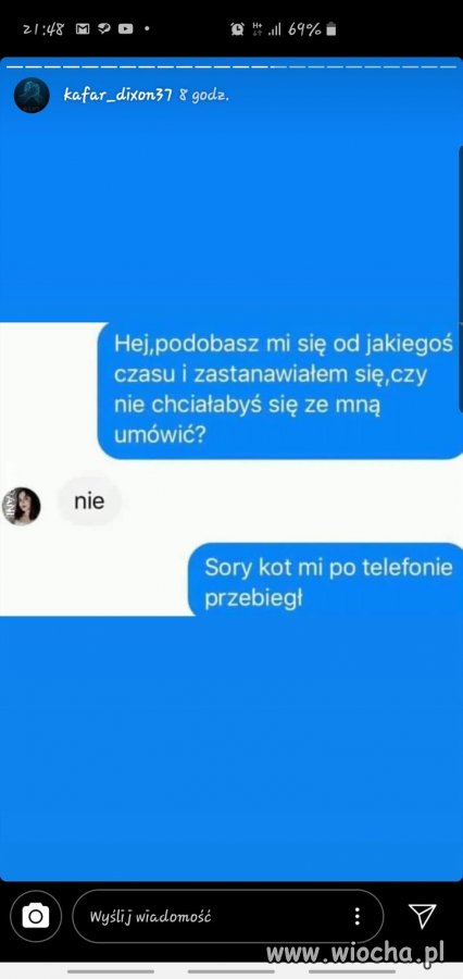 Wszystkiemu winien kot