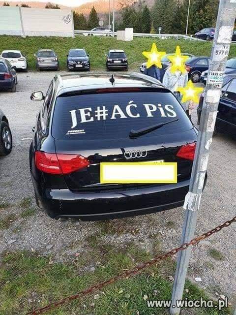 Miłośnik PiS