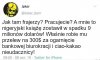 Nowy
