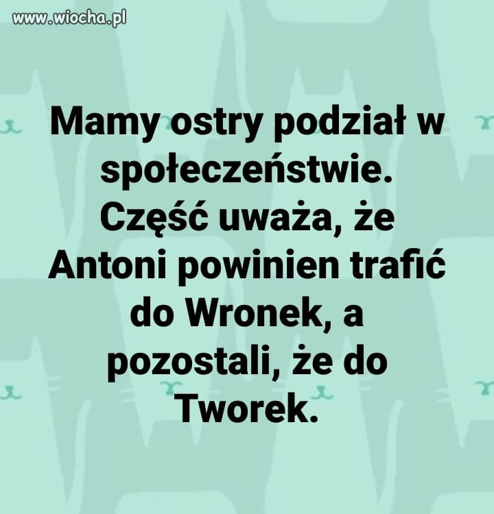 Podział