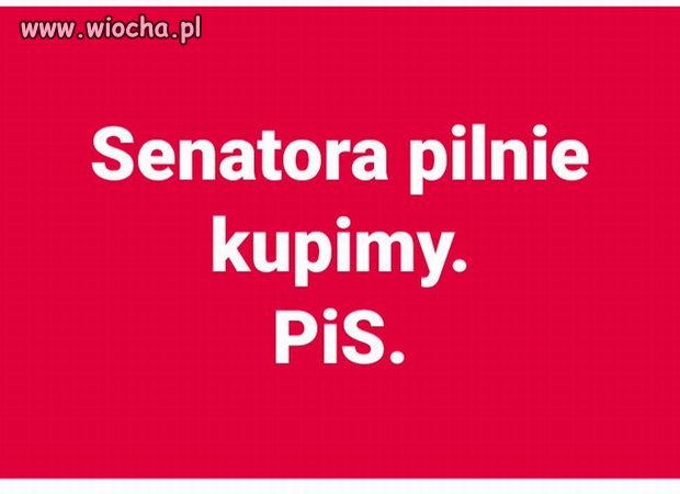 AAA Kupimy senatora, tylko poważne oferty