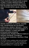 Ciekawostka