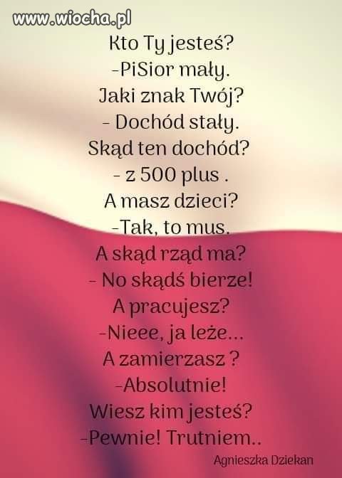 Rozkwit poezji dzięki 500+