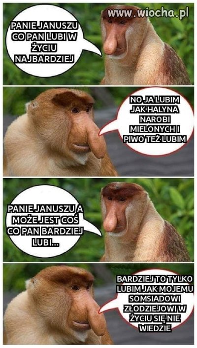 Co Janusz lubi najbardziej?