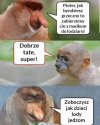 Z Pioterem na lody
