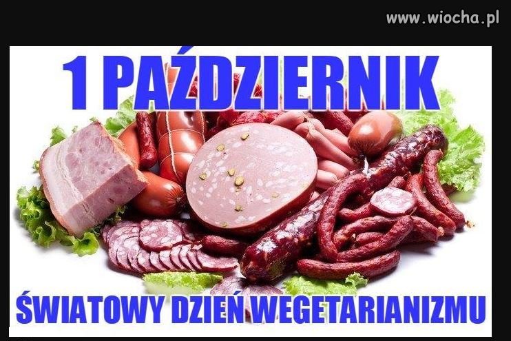 Pysznej sałaty i twardej marcheweczki