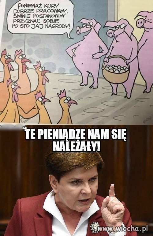 To tak zanim