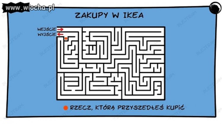 Coś w tym jest