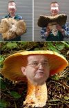 Koleś pochwalił się znalezionym grzybem
