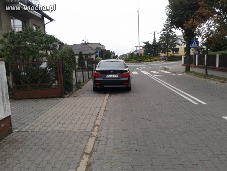 Mistrzowie parkowania.