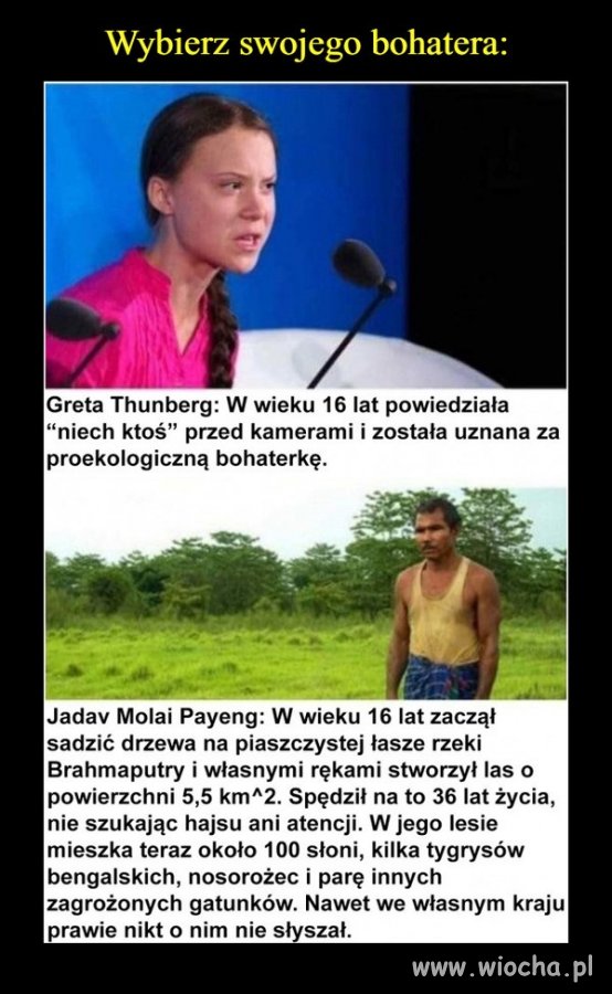 Szach i Mat