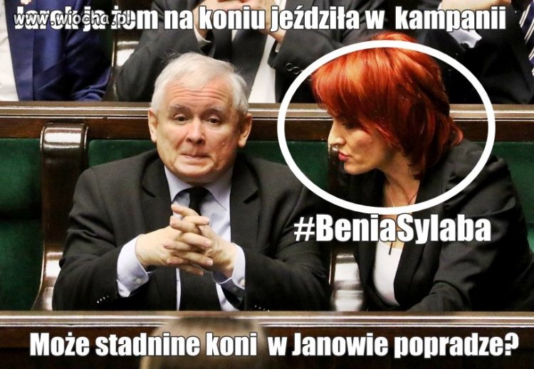 Tylko że tam teraz koty mają hodować 