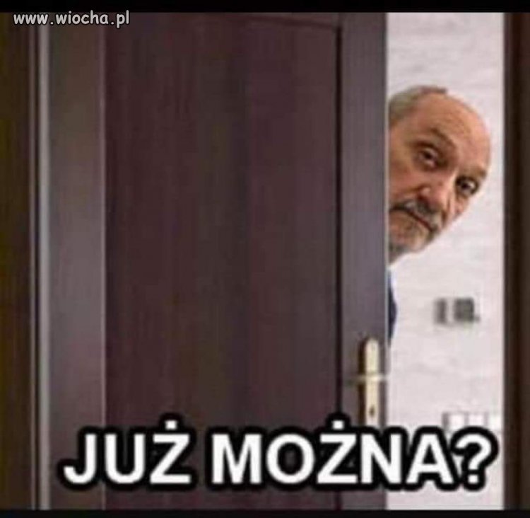 Wybory, wybory i po wyborach, czyli...