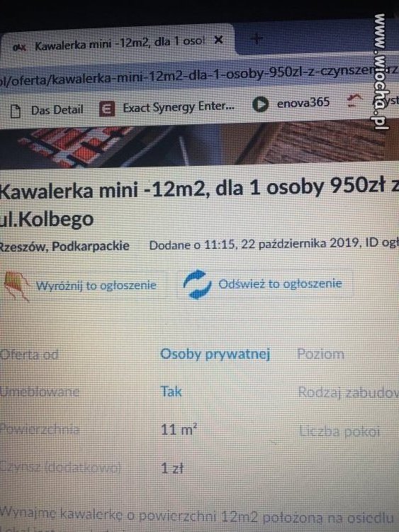 Kawalerka hmmm
