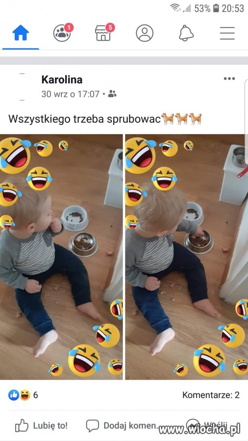 Bombelek
