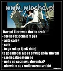 Rozjechałem psa