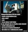 Rozjechałem psa