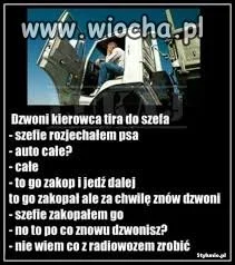 Rozjechałem psa