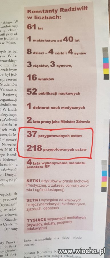 Ulotka wyborcza
