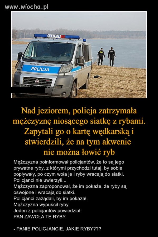 Historia o pewnym kolesiu i rybach