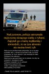 Historia o pewnym kolesiu i rybach