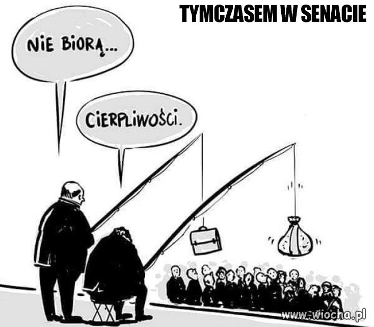 Tymczasem w senacie
