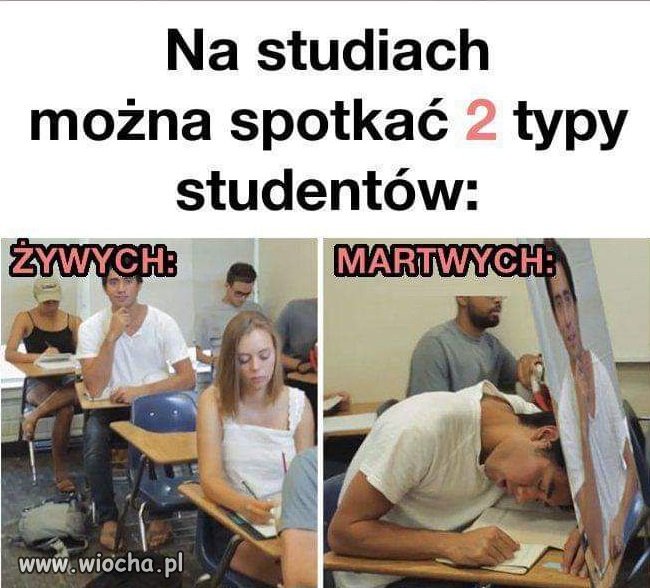 Studia