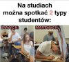 Studia