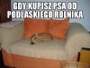 Nie, żebym miał coś do Podlasia...
