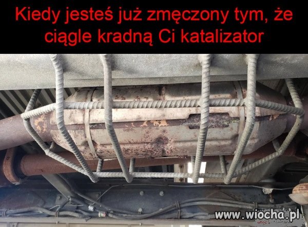 Najcenniejsza część