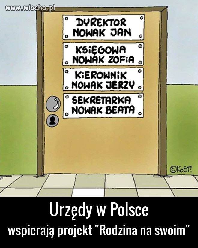 Projekt...