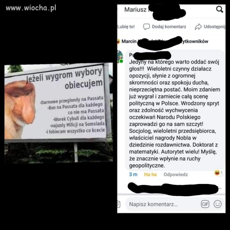 Jedyny słuszny kandydat