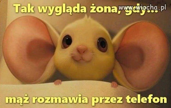 Chyba nie tylko żona 