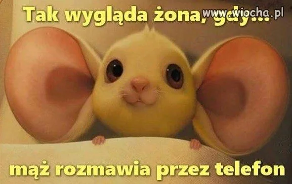 Chyba nie tylko żona 
