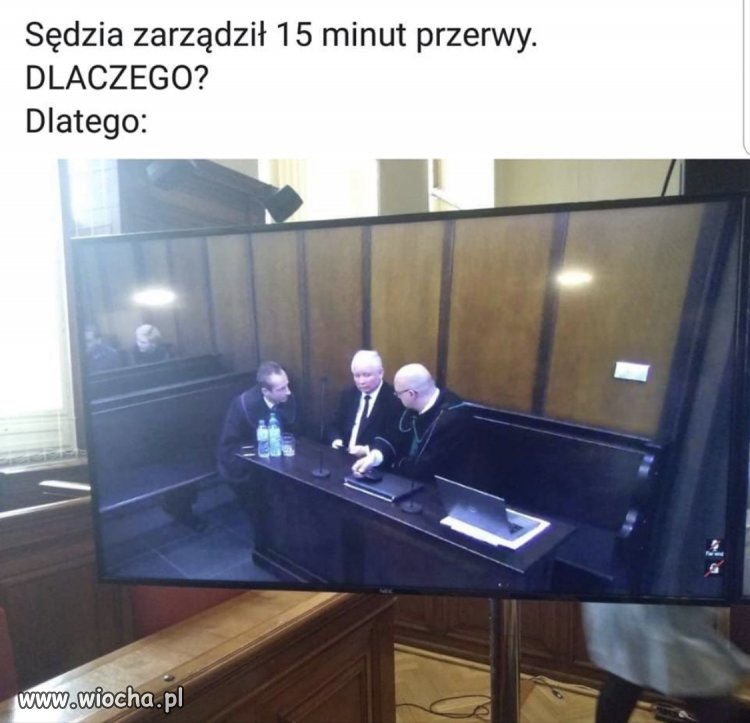 Pis na jednym zdjęciu.