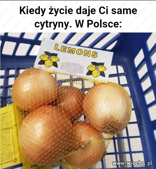 Cytryny na miarę Polski