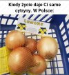 Cytryny na miarę Polski
