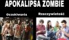 Tak to widze