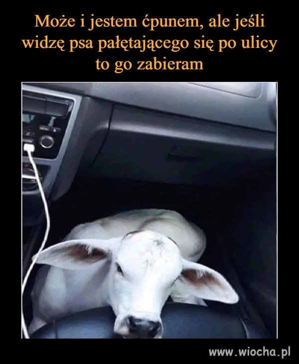 Warto pomagać