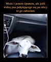 Warto pomagać