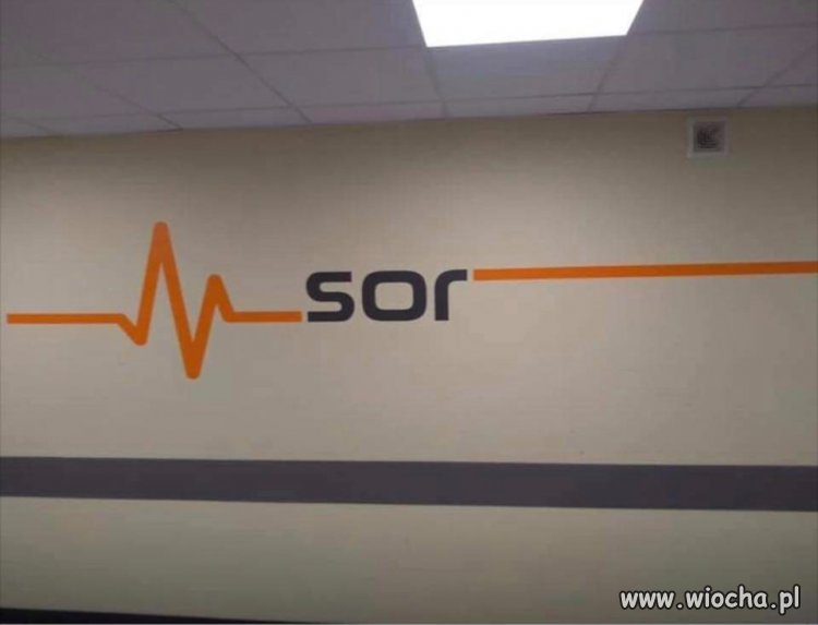 Logotyp SOR-u idealnie oddający...