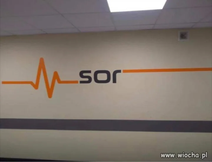 Logotyp SOR-u idealnie oddający...
