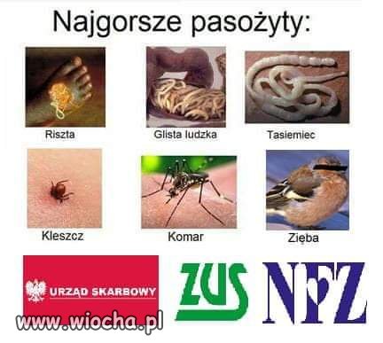 Tak dla przypomnienia 