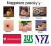 Tak dla przypomnienia 