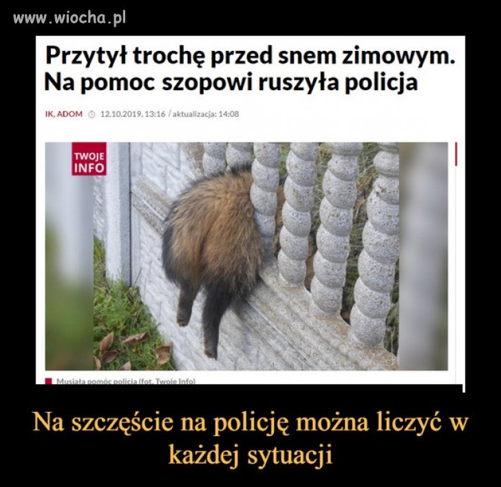 Spektakularna akcja policji