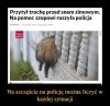 Spektakularna akcja policji