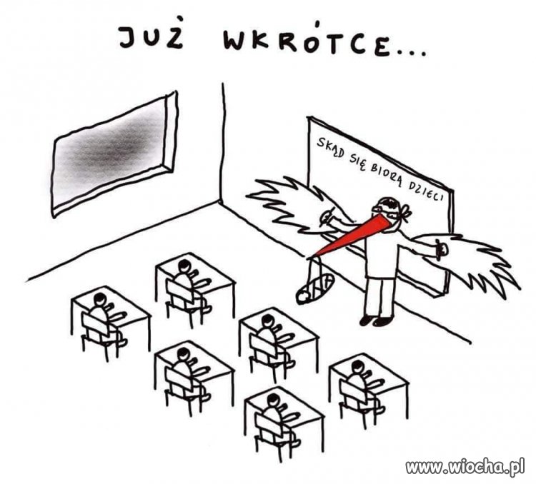 Nowe standardy edukacji.